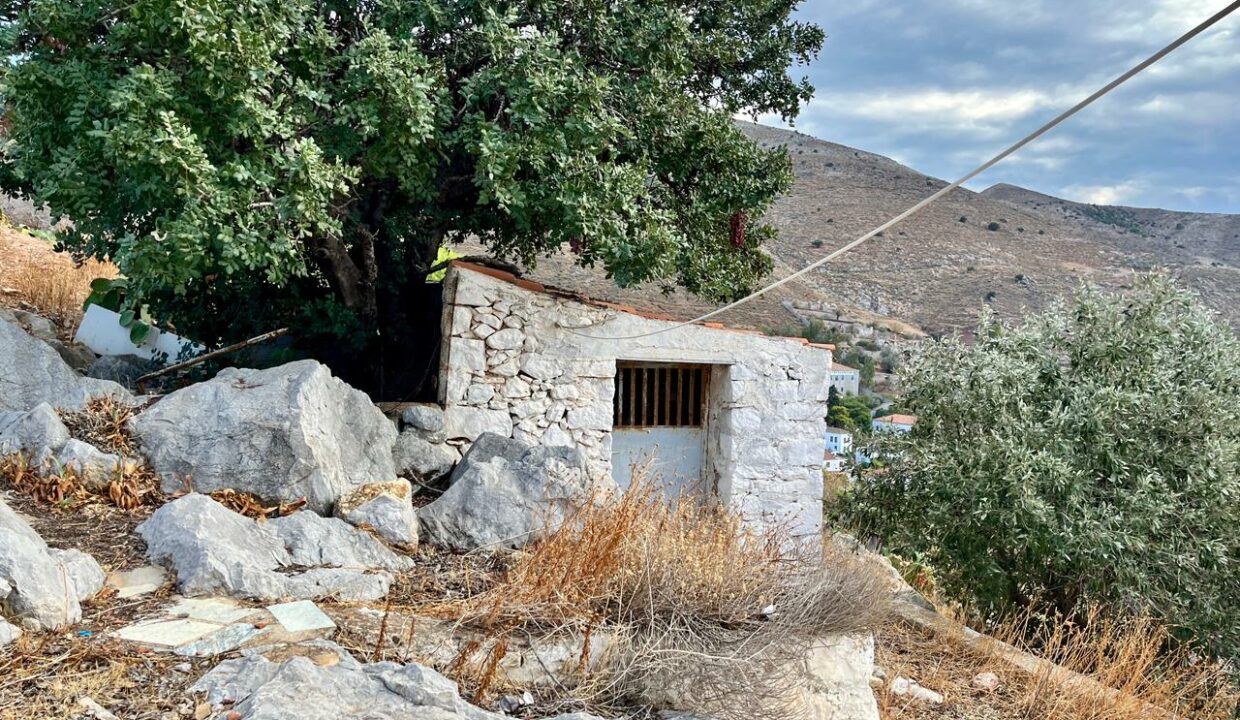 AvlakiWindmill (15)